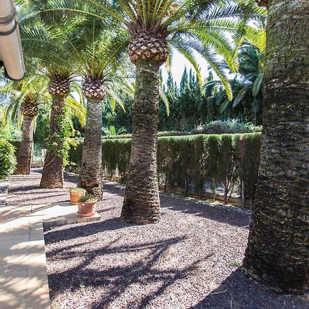 Finca Pepe 2 Ξενοδοχείο Denia Εξωτερικό φωτογραφία